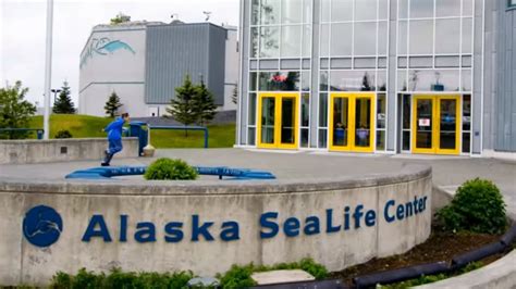 Alaska sea life center - 